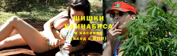 мдпв Надым