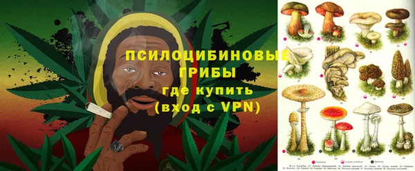 мдпв Надым