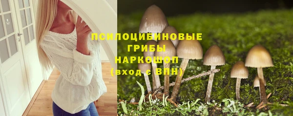 мдпв Надым