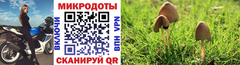 darknet состав  где продают   мега ссылки  Энем  Псилоцибиновые грибы GOLDEN TEACHER 